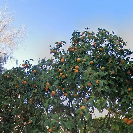 Ritual Sevilla, Piedra Preciosa סביליה